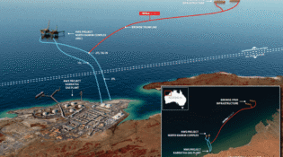 Woodside's Browse gas project faces setbacks on environmental concerns